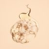Transparent soap bubble on beige background